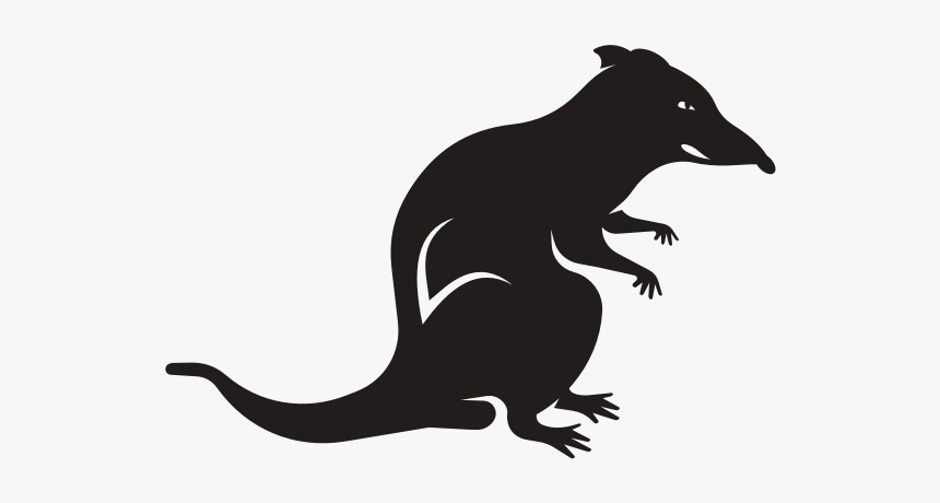 Silhouette Of A Rat - Illustration, HD Png Download