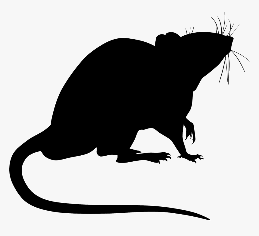 Transparent Rat Silhouette, HD Png Download