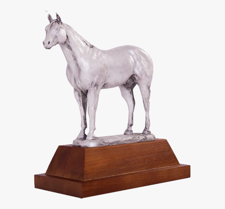 Custom Horse Show Trophies, HD Png Download