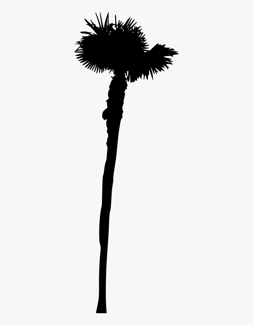 Shadow, HD Png Download