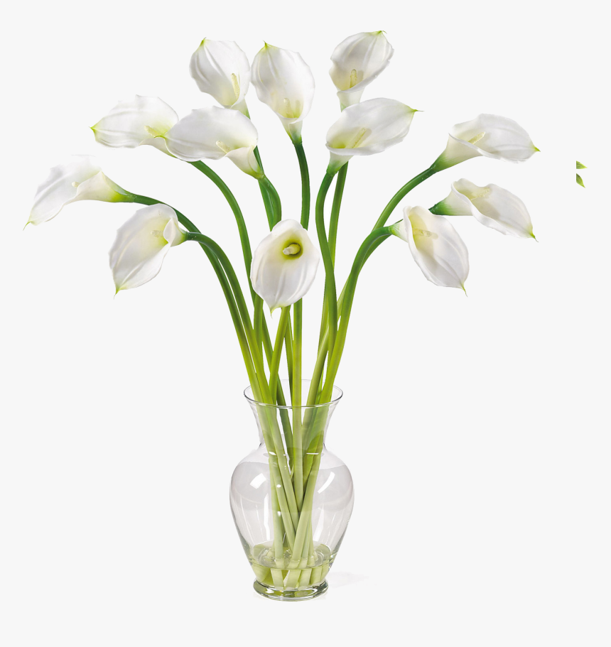 Calla Png Image - Calla Lily, Transparent Png