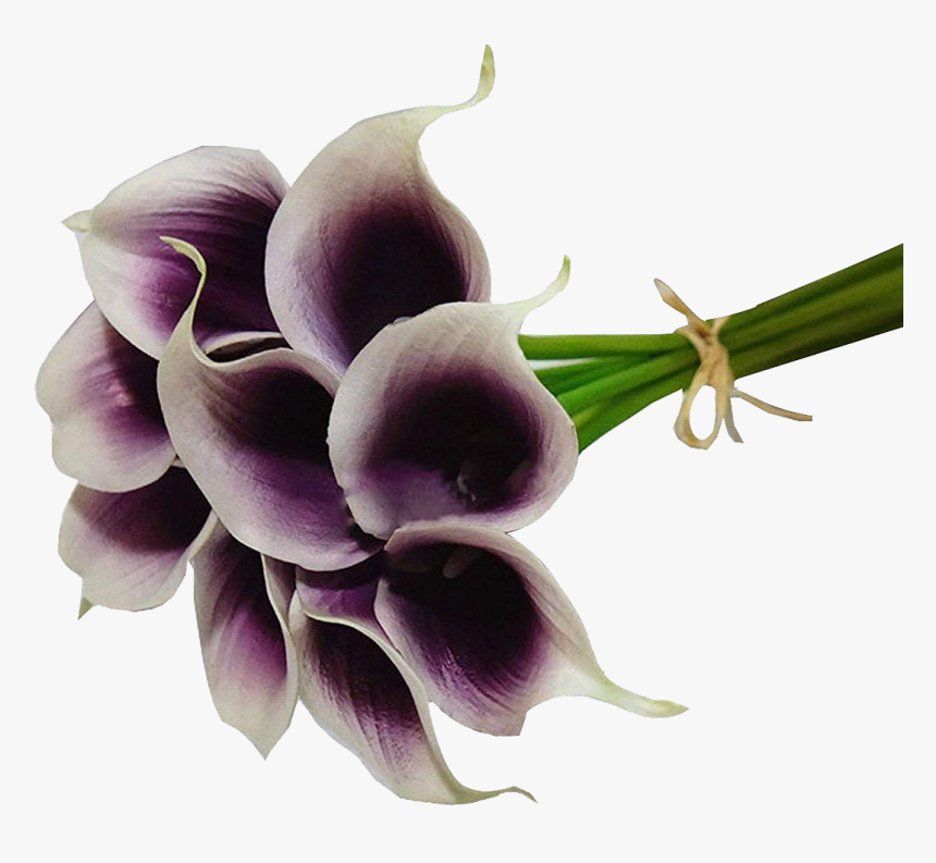 Calla Lilies Flowers Png Image File - Dendrobium, Transparent Png