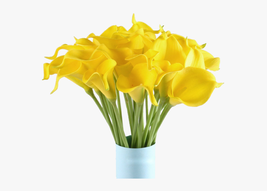 Giant White Arum Lily, HD Png Download