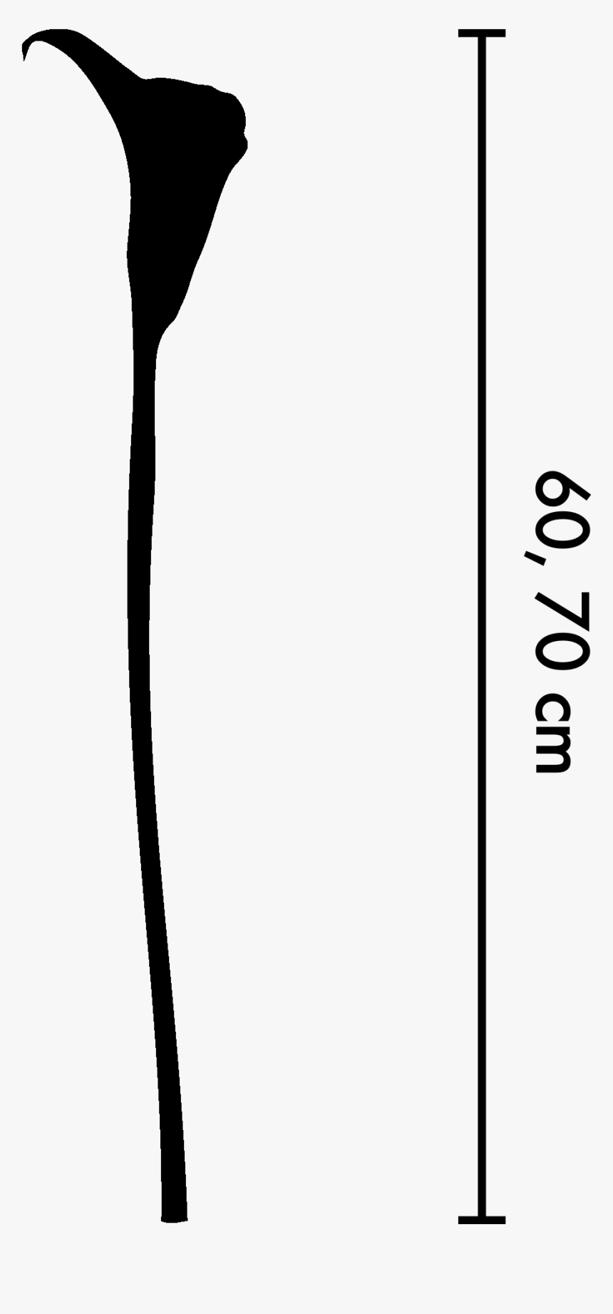 Silhouette, HD Png Download