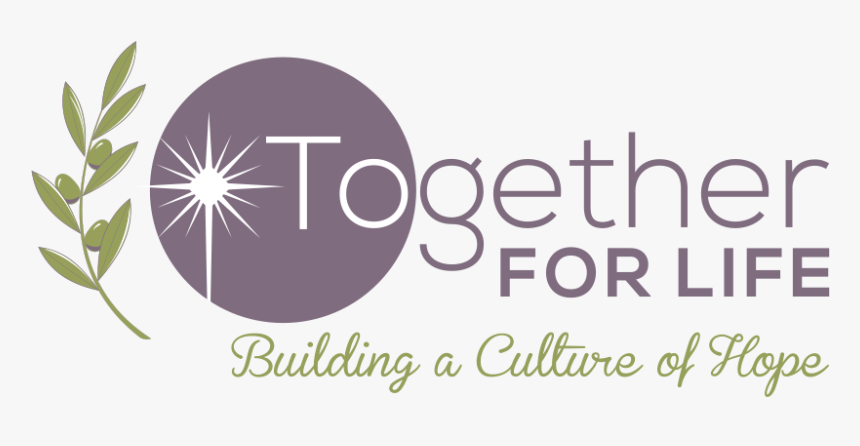 Olive Branch, HD Png Download