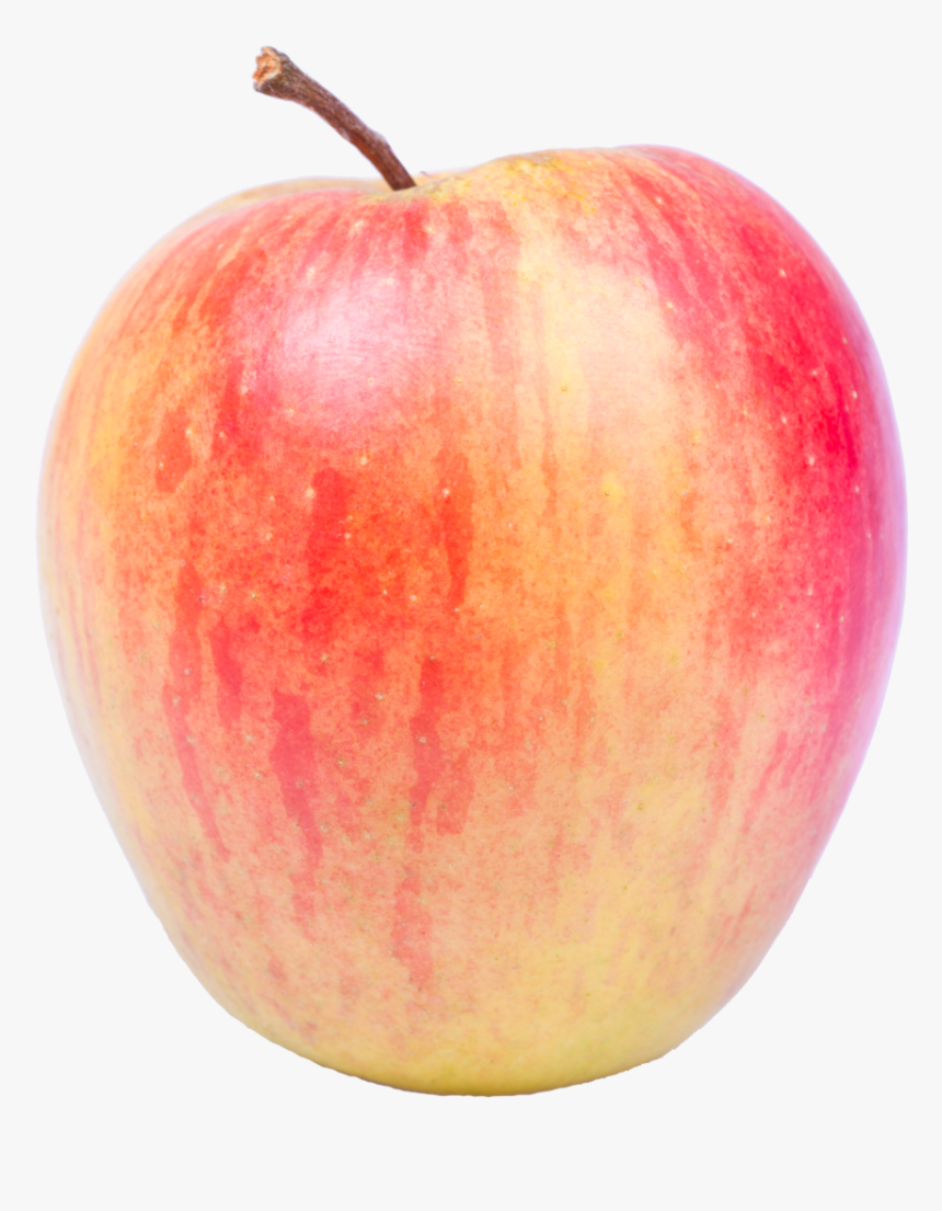 Mcintosh, HD Png Download