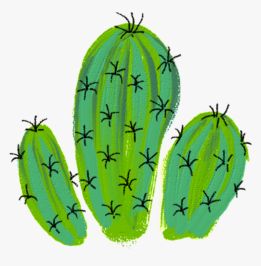 #cactus #desert #plant #green #spins #flower #decoration - Banana, HD Png Download