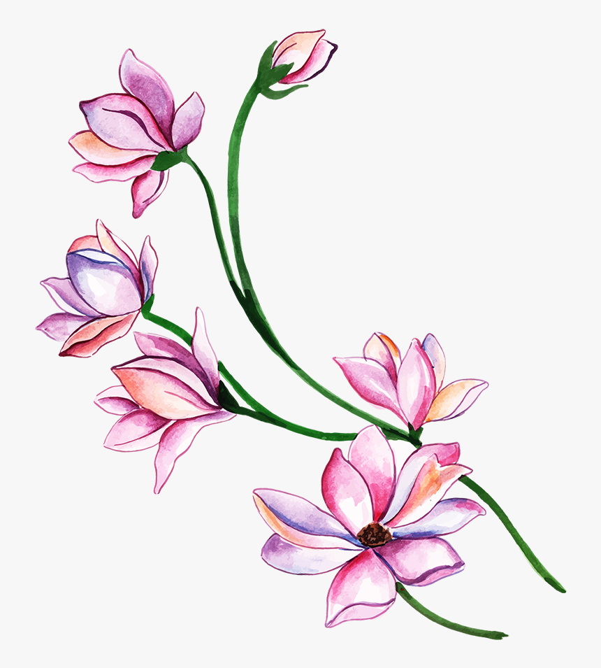 Lily, HD Png Download