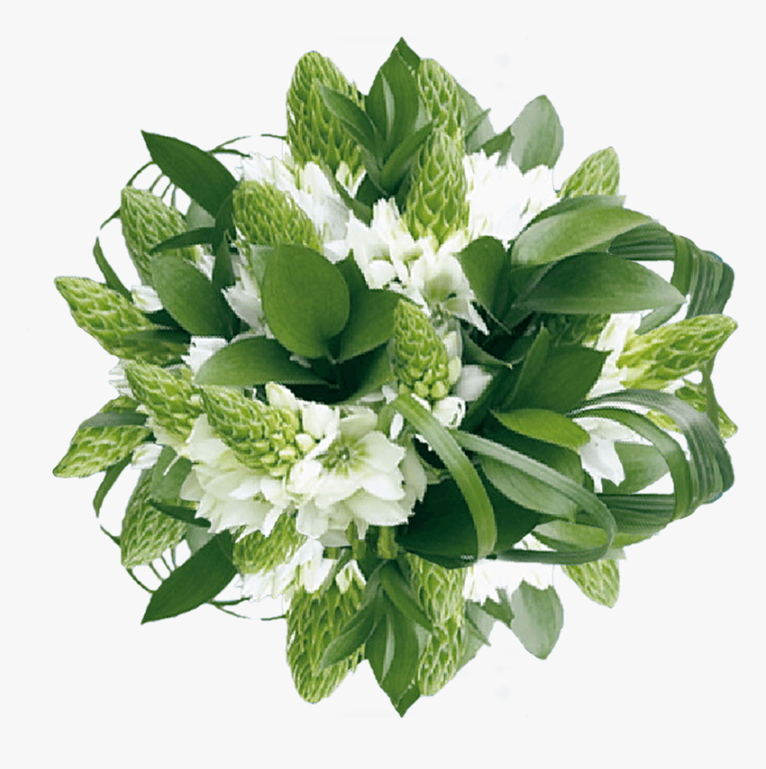 Star Of Bethlehem Flower Bouquet, HD Png Download