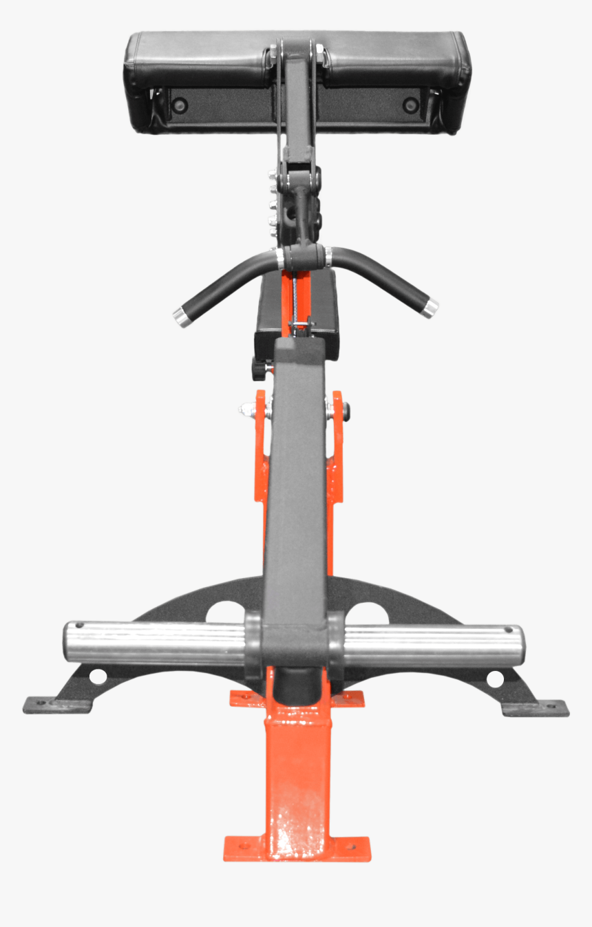 Bicep Curl Plate Loaded - Gym, HD Png Download