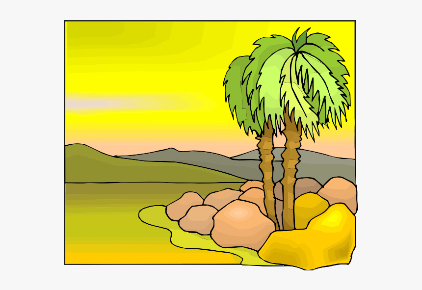 Tropical Tree Color Illustration - Sabal Palmetto, HD Png Download