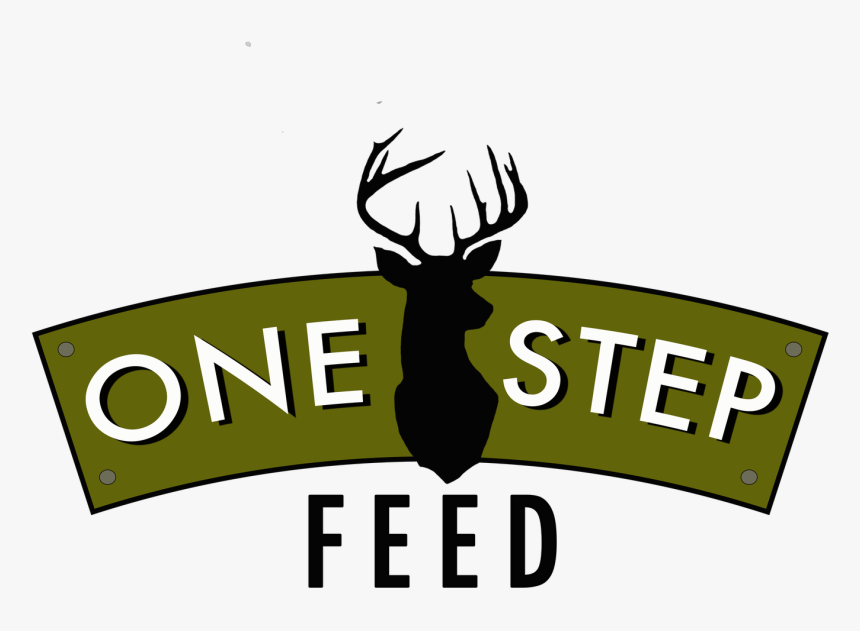 Deer, HD Png Download