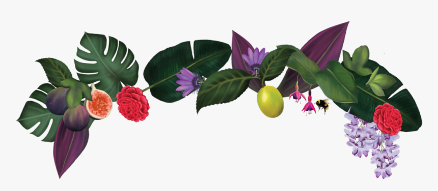 My Newtown Kitchen, HD Png Download