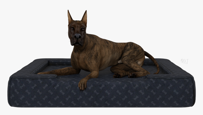 Great Dane, HD Png Download