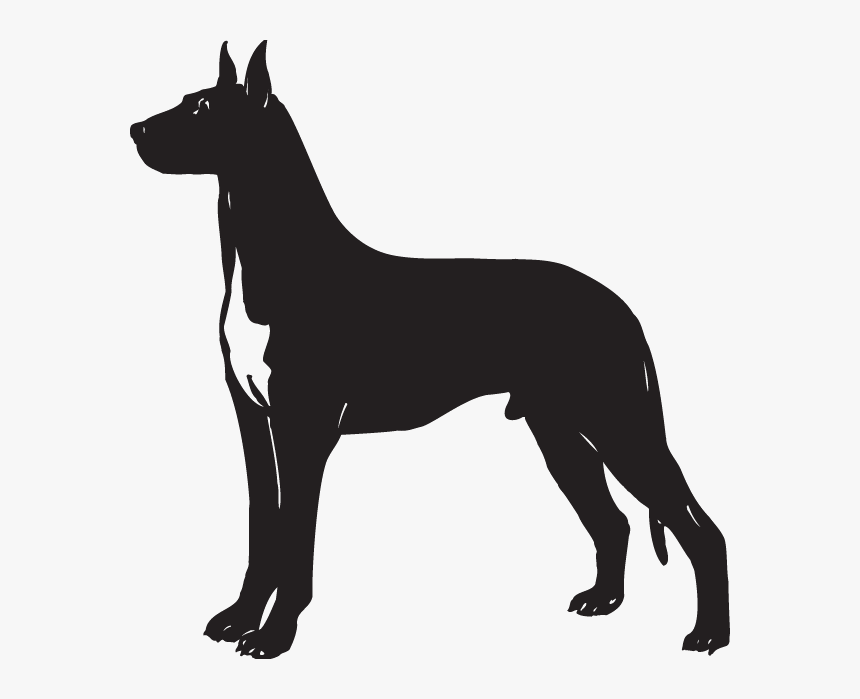 Great Dane Silhouette, HD Png Download