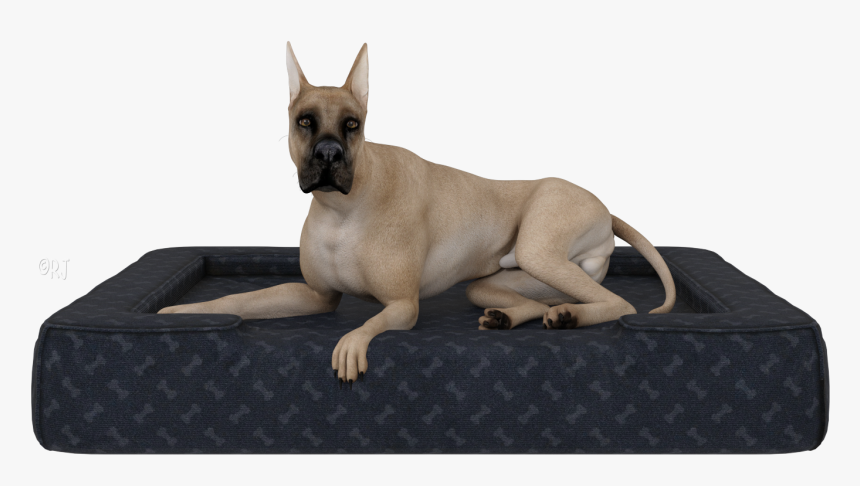 Giant Dog Breed, HD Png Download