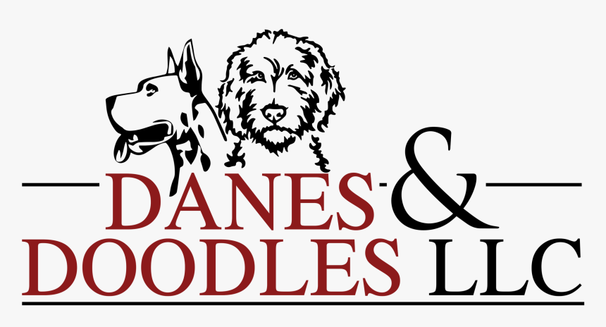 Cesky Terrier, HD Png Download