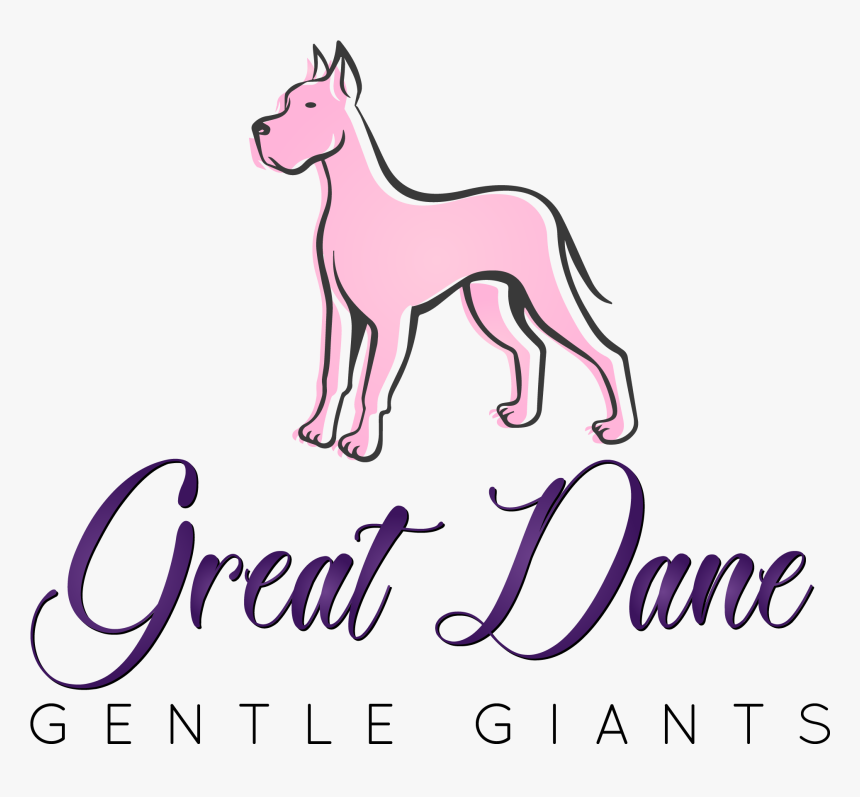 Great Dane Gentle Giants - Ancient Dog Breeds, HD Png Download