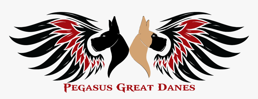 Dog, HD Png Download