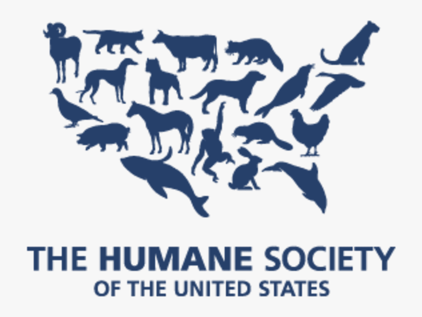 Ratatouille And Quinoa - United States Humane Society, HD Png Download