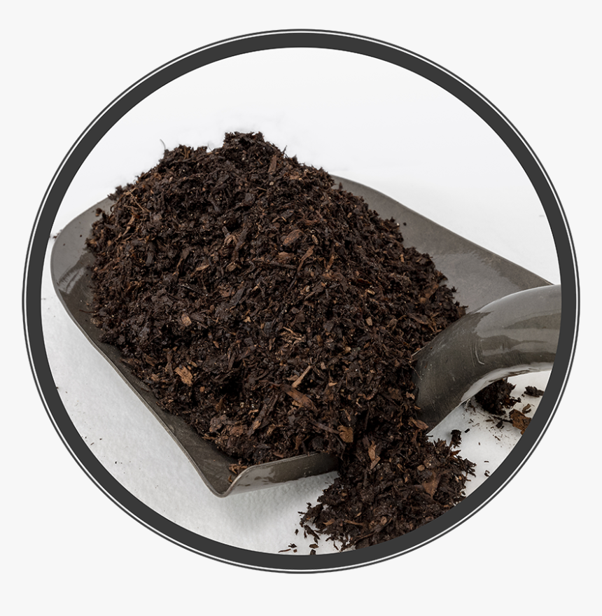 Dessert, HD Png Download