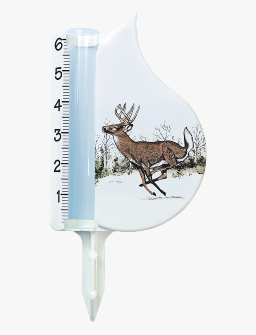 Whitetail Deer - Reindeer, HD Png Download
