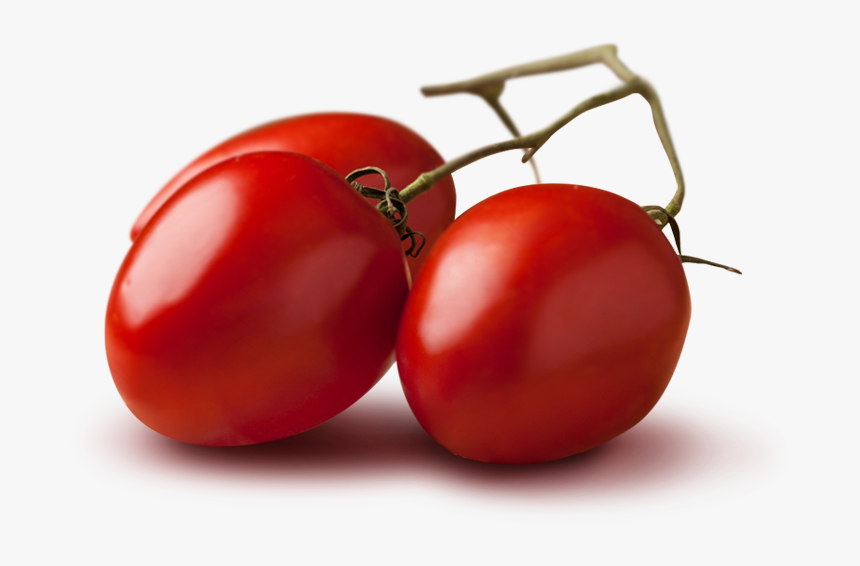 Petti Datterini 100% Tuscan Tomatoes - Industrial Tomato, HD Png Download