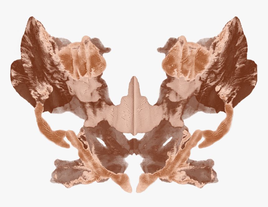 Blue Crab Blot Copper - Freshwater Crab, HD Png Download