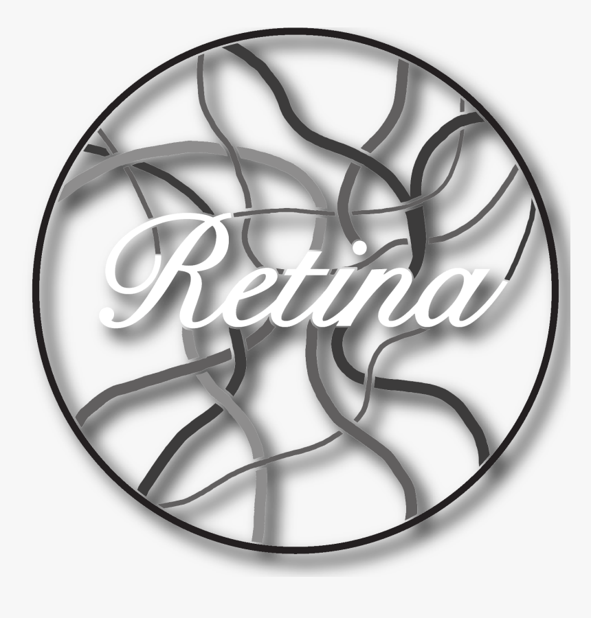 Circle, HD Png Download