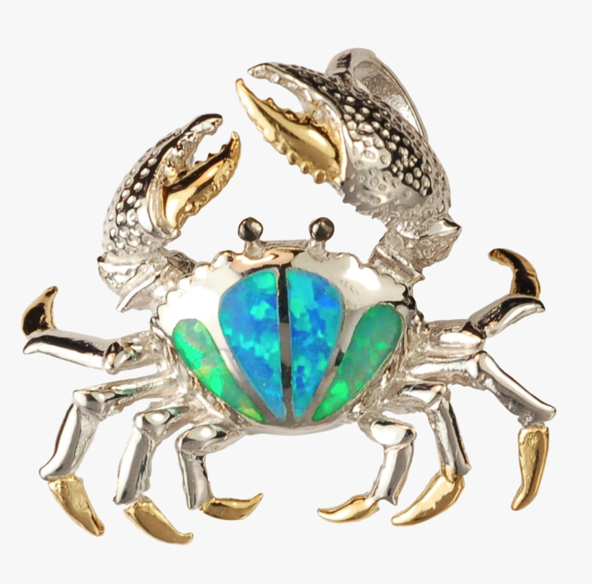 Chesapeake Blue Crab, HD Png Download