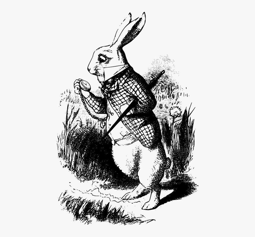 White Rabbit Alice In Wonderland Book, HD Png Download