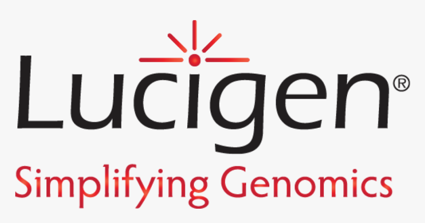 Linear Cloning Kit Ok Blunt Vector - Amplify Trading, HD Png Download