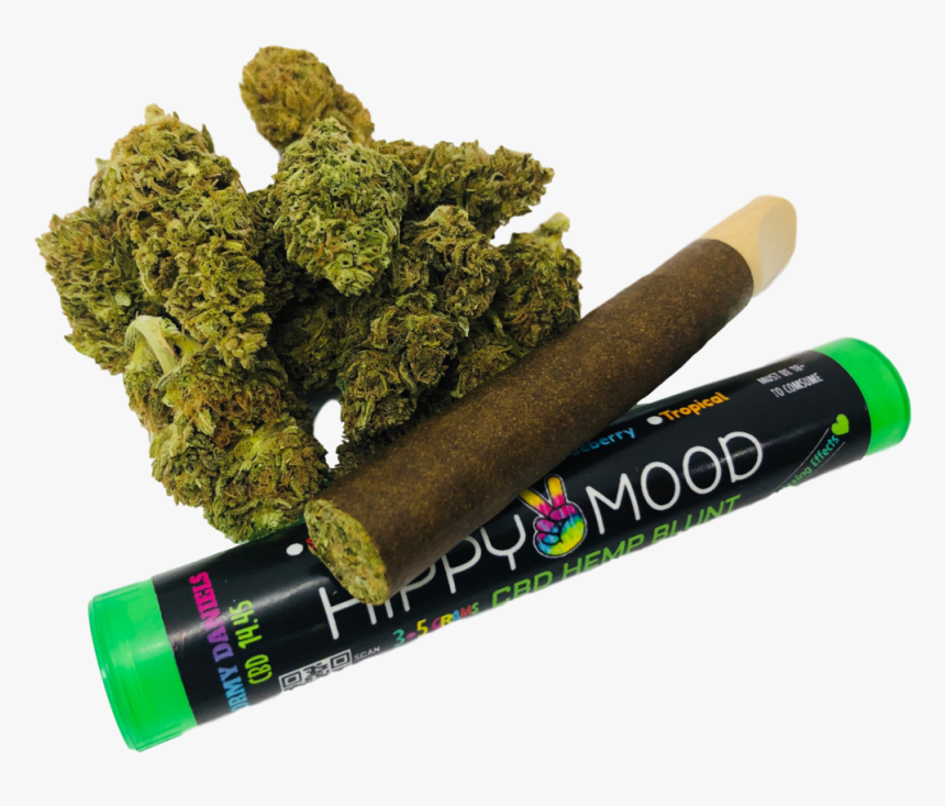 Moss, HD Png Download