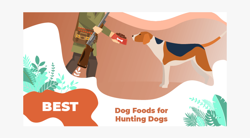 Food Hunting Dogs - Lovebirds Food List, HD Png Download