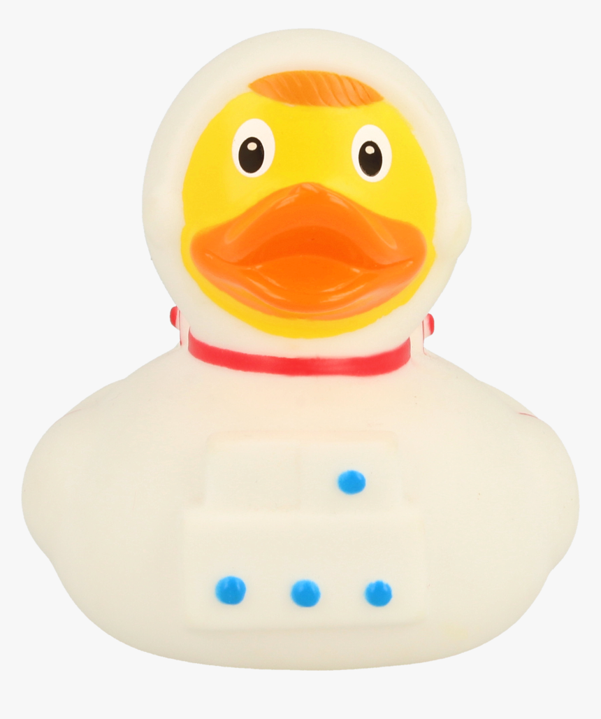 Duck, HD Png Download
