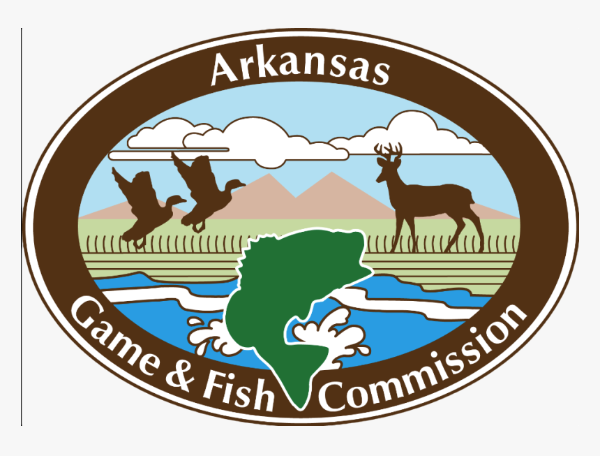 Public Duck Hunting In Ne Arkansas - Arkansas Game And Fish Commission, HD Png Download