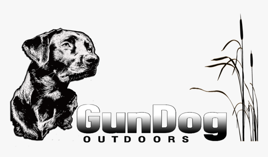 Boxer, HD Png Download