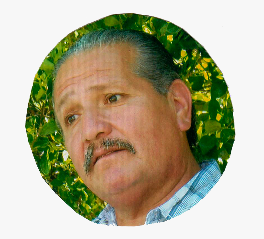 Donald Henry Falcon 
 Class Img Responsive Owl First - Illustration, HD Png Download