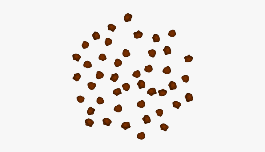 Circle, HD Png Download