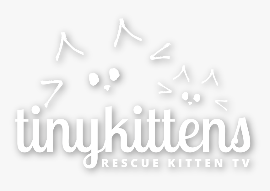 Logo White Rktv - Illustration, HD Png Download