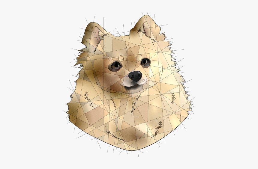 Image - German Spitz Mittel, HD Png Download