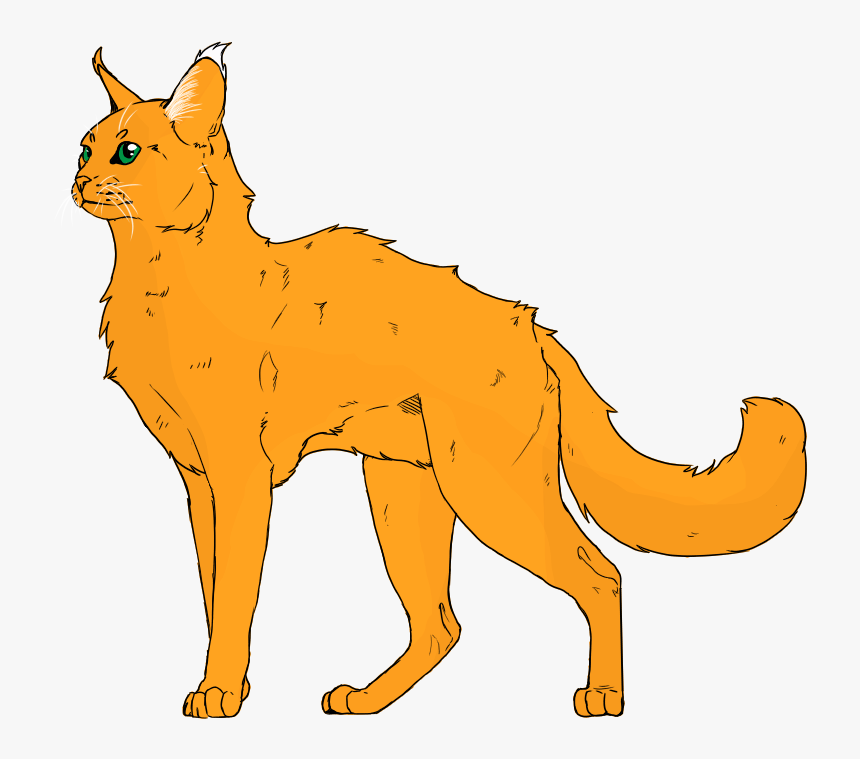 Warriors Oc& - Swift Fox, HD Png Download