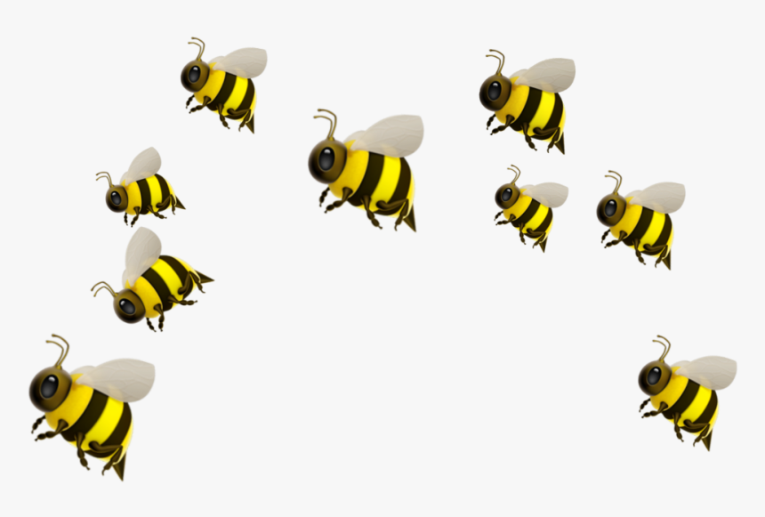 #freetoedit - Honeybee, HD Png Download