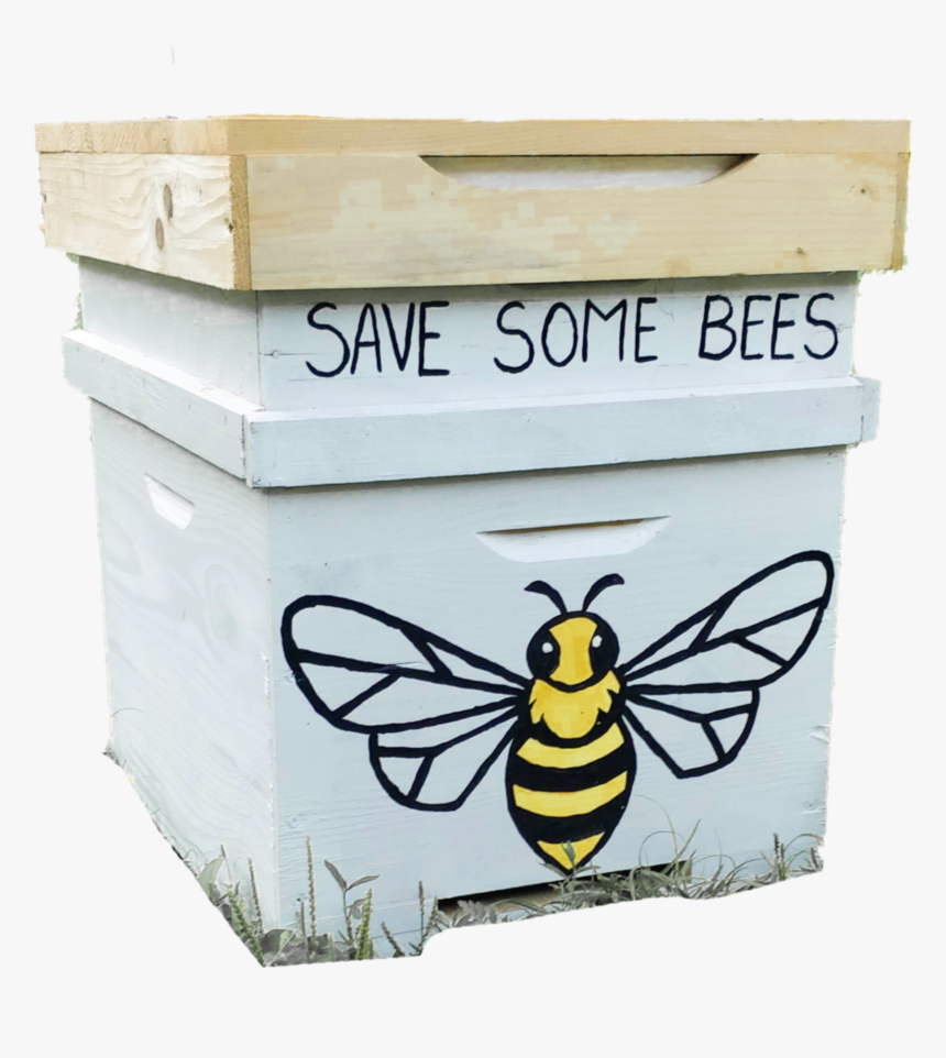 Honeybee, HD Png Download