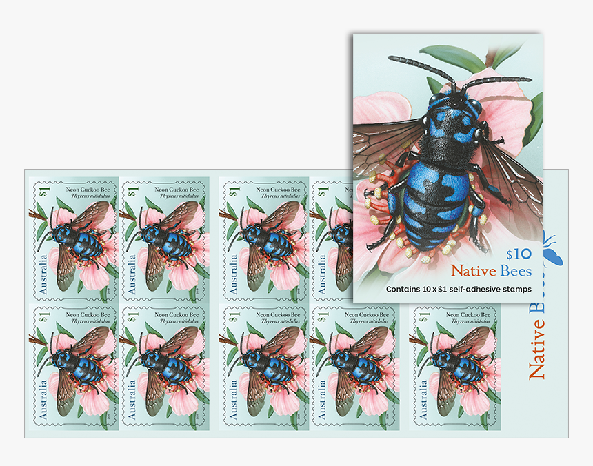 Honeybee, HD Png Download