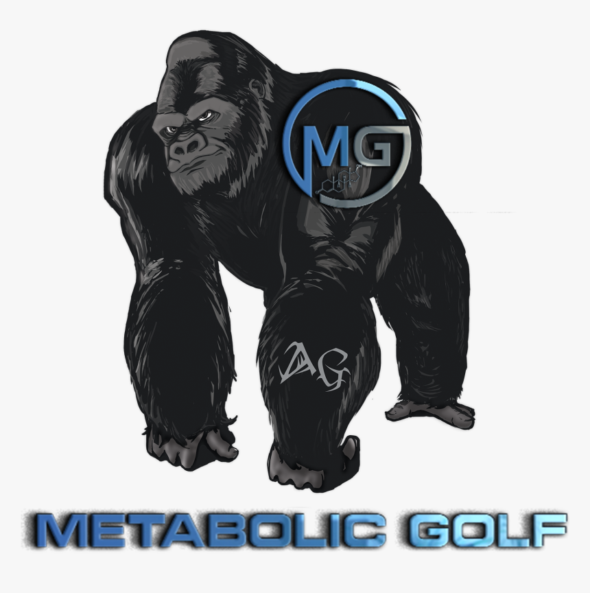 Western Gorilla, HD Png Download