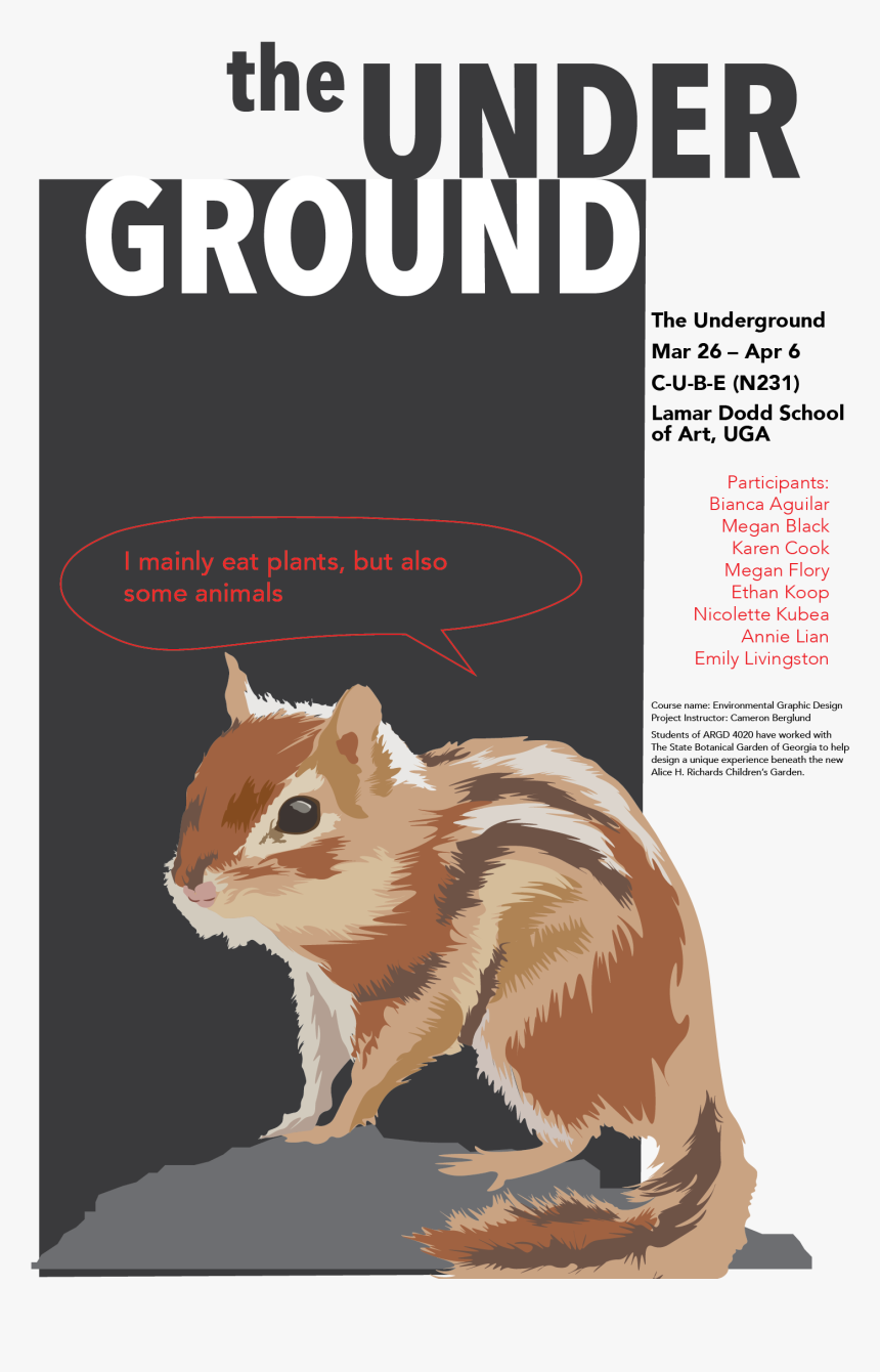 This Project Includes - Eastern Chipmunk, HD Png Download