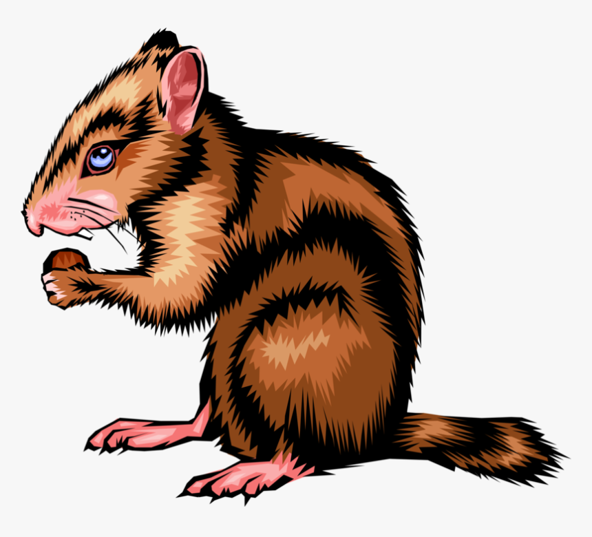Vector Illustration Of North American Small Rodent - Mouse, HD Png Download