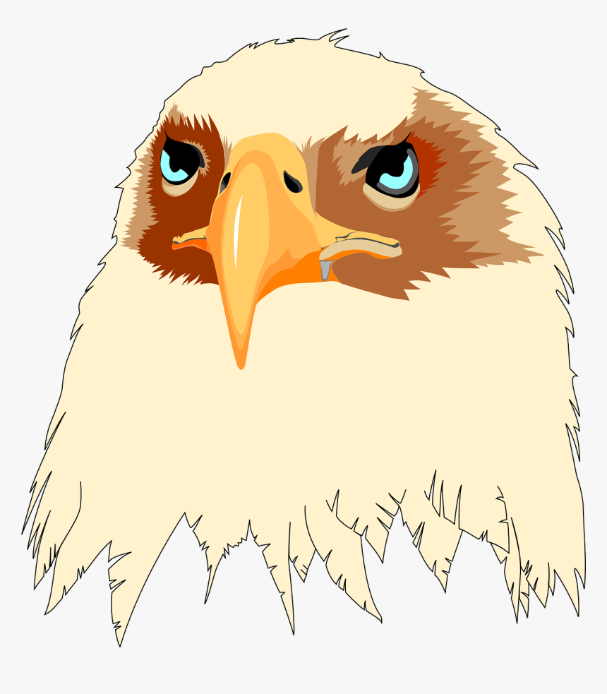 Cara De Aguila Animada, HD Png Download