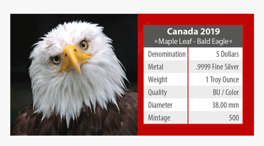 Ibca201958 5 - Silver Coin, HD Png Download